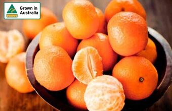 Foodworks Honey Murcott Mandarins offer