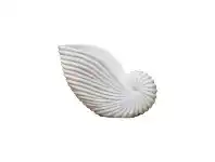 LivingStyles Lehriya Marble Conch Shell Decor, Medium, White offer