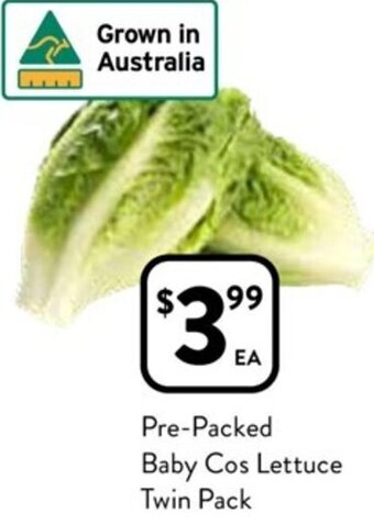 Foodworks Baby Cos Lettuce offer