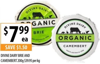 Supabarn Divine Dairy Brie And Camembert 200g offer