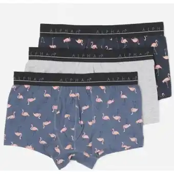 Kmart 3 pack organic fly front printed trunks offer