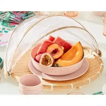 Food tray with mesh cover