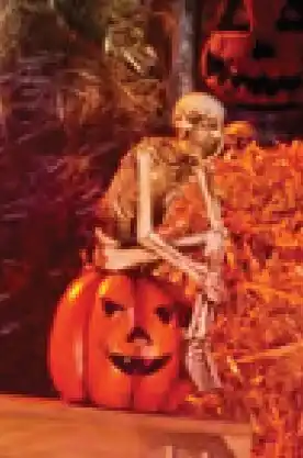Lombard Halloween skeleton offer
