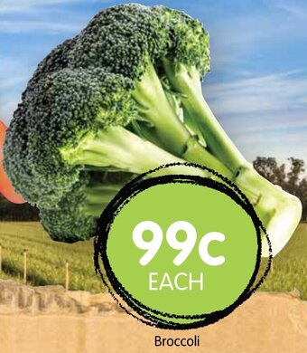 Spudshed Broccoli offer