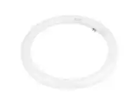LivingStyles Allume Fluorescent Circular Tube, T9, 32W, 4000K offer