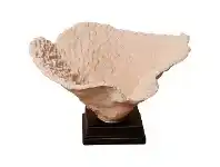 LivingStyles Esha Coral Bowl Ornament offer