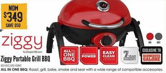 Ziggy portable grill bbq