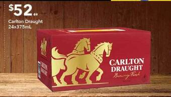 Carlton draught