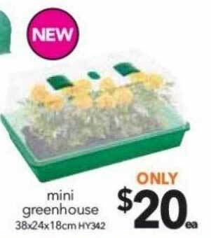 Cheap as Chips Mini greenhouse offer