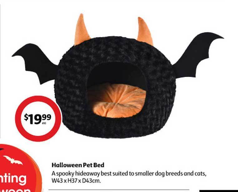halloween pet bed