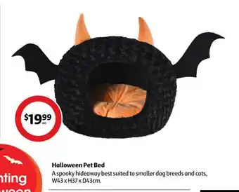 Coles Halloween pet bed offer