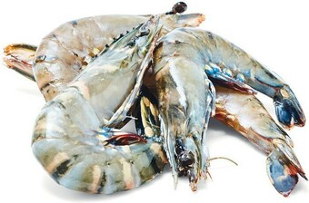 Woolworths Thawed Large Australian Raw Tiger Prawns offer