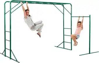 BIG W Action sports monkey bar 2.5m offer