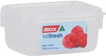 BIG W Decor tellfresh oblong container 250ml offer