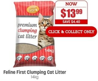 Pets Domain Feline First Clumping Cat Litter 14kg offer