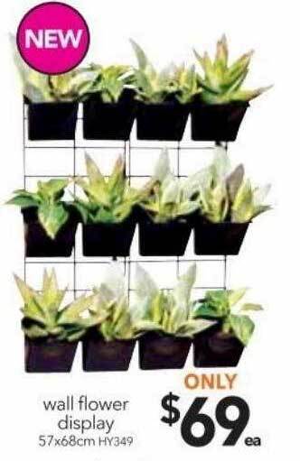 Cheap as Chips Wall flower display offer