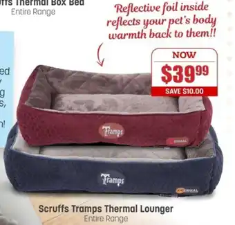 Scruffs Tramps Thermal Lounger