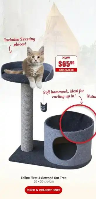 Pets Domain Feline First Axlewood Cat Tree 55x35x64cm offer