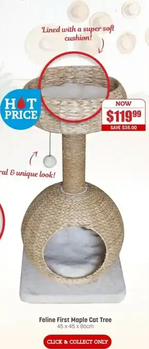 Pets Domain Feline First Maple Cat Tree 45x45x86cm offer