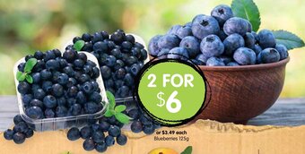 Spudshed Blueberries 125g offer
