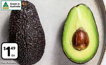 Foodworks Hass Avocados offer