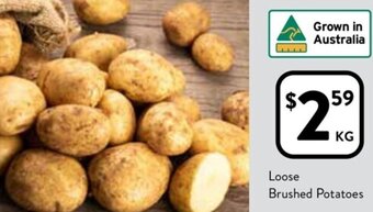 Foodworks Loose Brushed Potatoes offer