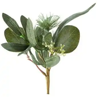 Pillow Talk Christmas eucalyptus pick - pack of 8 by habitat offer