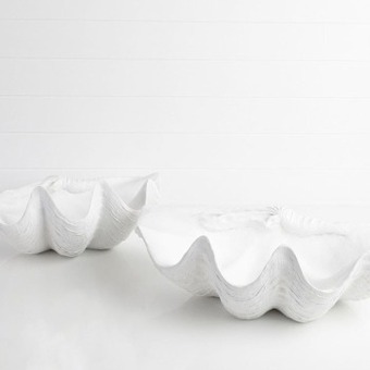 Pillow Talk Giant clam shell by m.u.s.e. offer