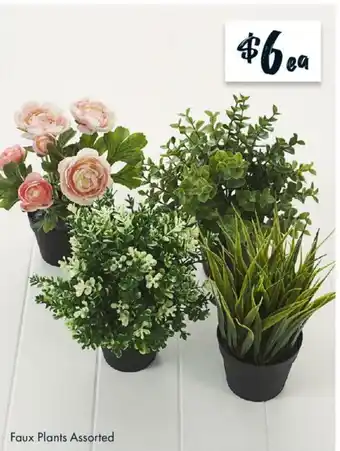 The Reject Shop Faux Plants Assorted offer