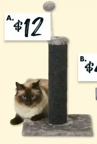 The Reject Shop Carpet Cat Scratcher 42.5cm offer