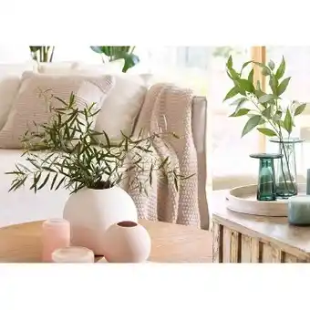Artificial plants & flowers