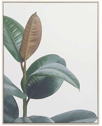 Spotlight 30% off koo foliage framed print offer