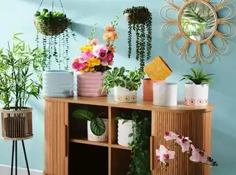 Spotlight All potted plants & planter pots, wreaths, garlands & hanging plants, stems & floral bunches offer