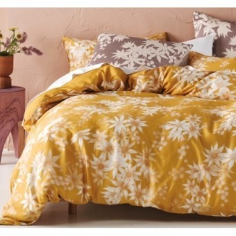 Spotlight Linen house riley quilt cover set offer