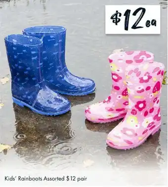 The Reject Shop Kids' Rainboots Assorted offer