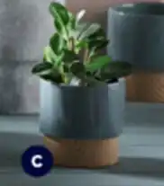 Planter Pot 16x16.5cm
