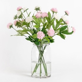 Pillow Talk Clover flower stem by m.u.s.e. offer