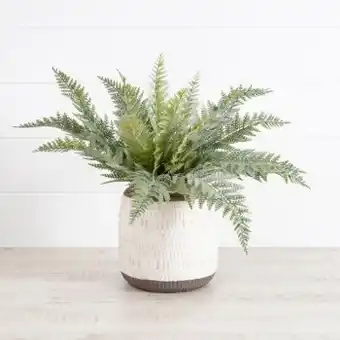 Silver fern bush by m.u.s.e.