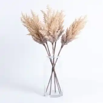 Pillow Talk Dried pampas grass stem by habitat offer