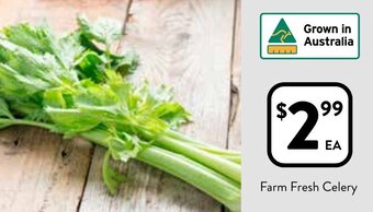 Foodworks Farm Fresh Celery offer