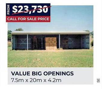 Wide Span Sheds Value big openings offer