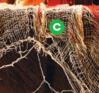 Woolworths Halloween Gauze 2.8m offer
