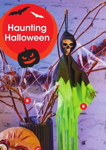 Neon Skeleton, Decorative Tinsel 2 Metre or Spiders in Web