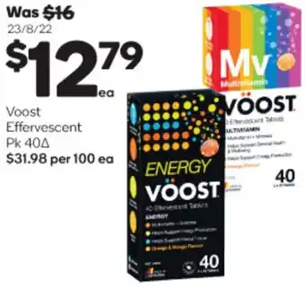 Voost Efferverscent Pk 40