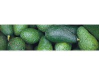 Foodworks Hass Avocados offer