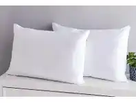 High Loft Pillow 2 Pack