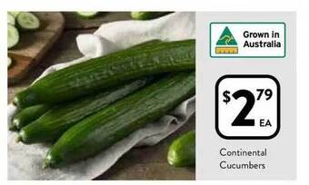 Foodworks Continental cucumbers offer