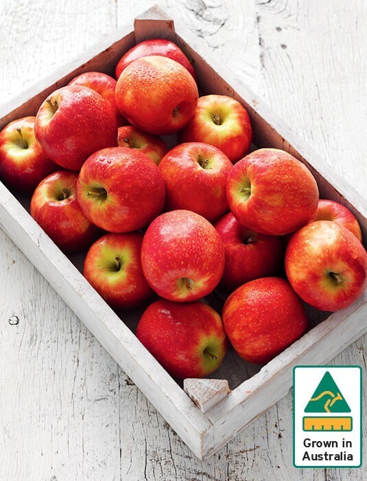 Australian pink lady apples offer at IGA