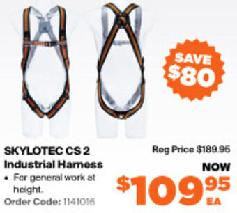 RSEA Safety Skylotec CS2 Industrial Harness offer
