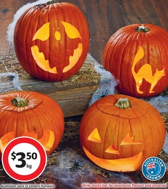 Australian Jack O Lantern Pumpkin